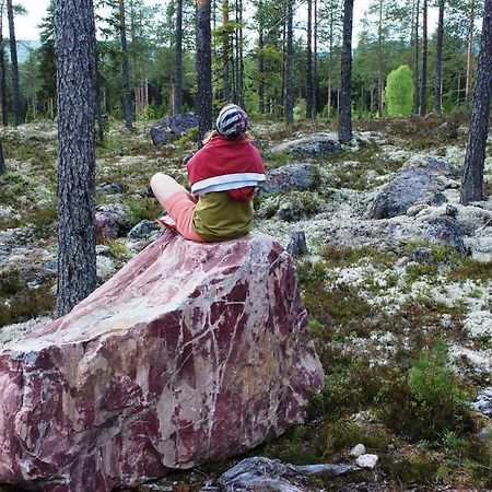 12 - Fulufjellets Nasjonalparker - Natur-, Dyre- Og Fugleopplevelser Ljørdal Dış mekan fotoğraf