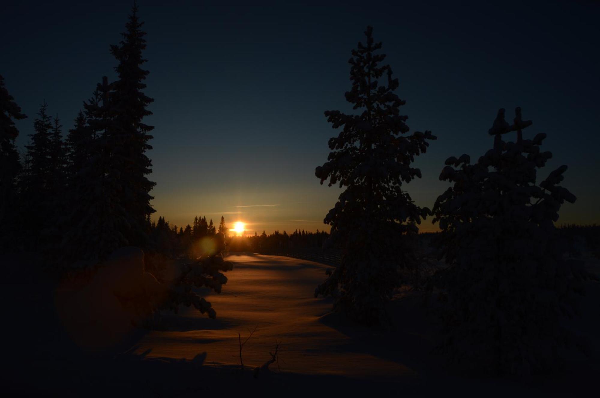 12 - Fulufjellets Nasjonalparker - Natur-, Dyre- Og Fugleopplevelser Ljørdal Dış mekan fotoğraf