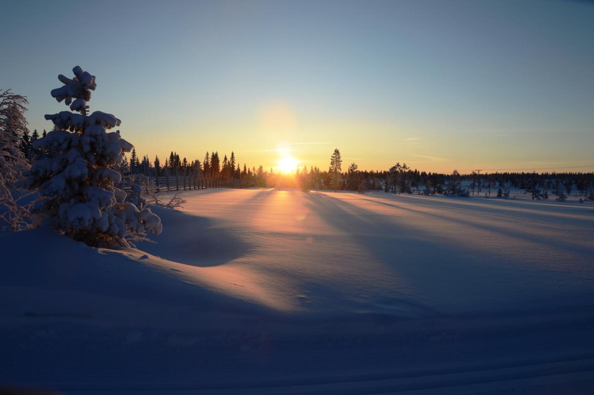 12 - Fulufjellets Nasjonalparker - Natur-, Dyre- Og Fugleopplevelser Ljørdal Dış mekan fotoğraf