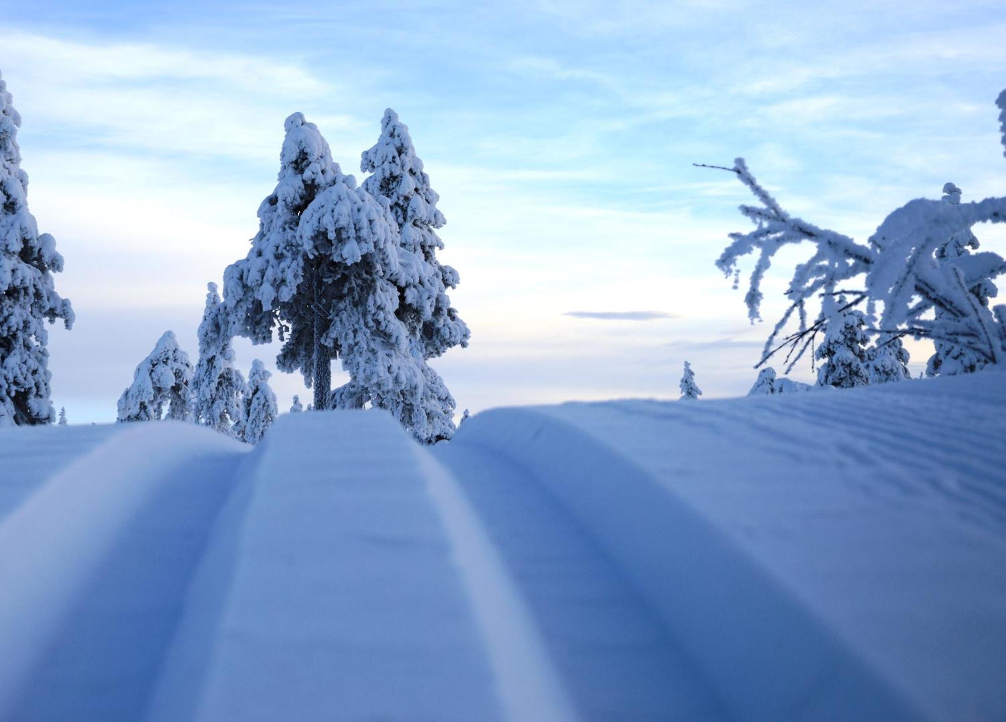 12 - Fulufjellets Nasjonalparker - Natur-, Dyre- Og Fugleopplevelser Ljørdal Dış mekan fotoğraf