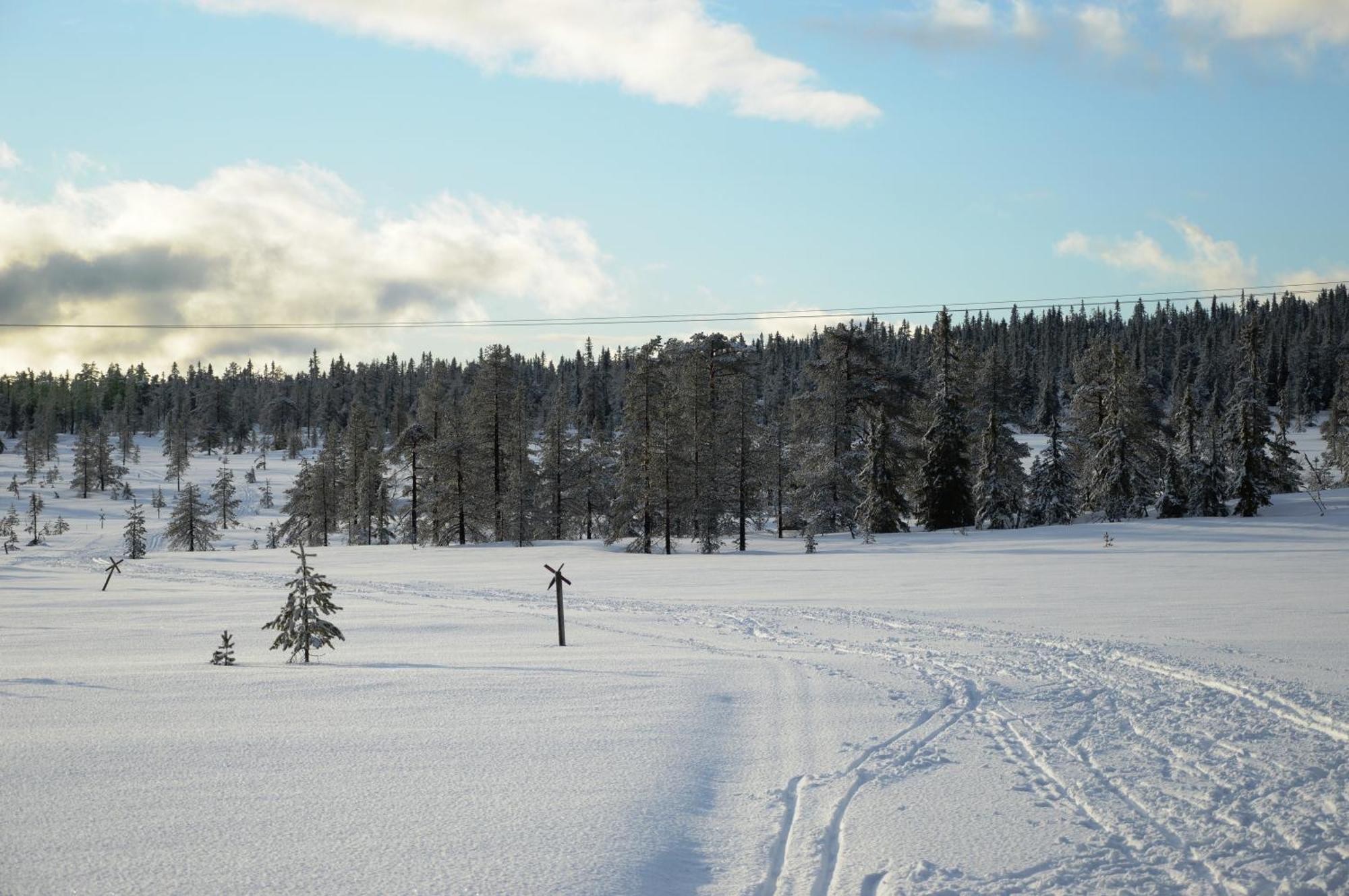 12 - Fulufjellets Nasjonalparker - Natur-, Dyre- Og Fugleopplevelser Ljørdal Dış mekan fotoğraf