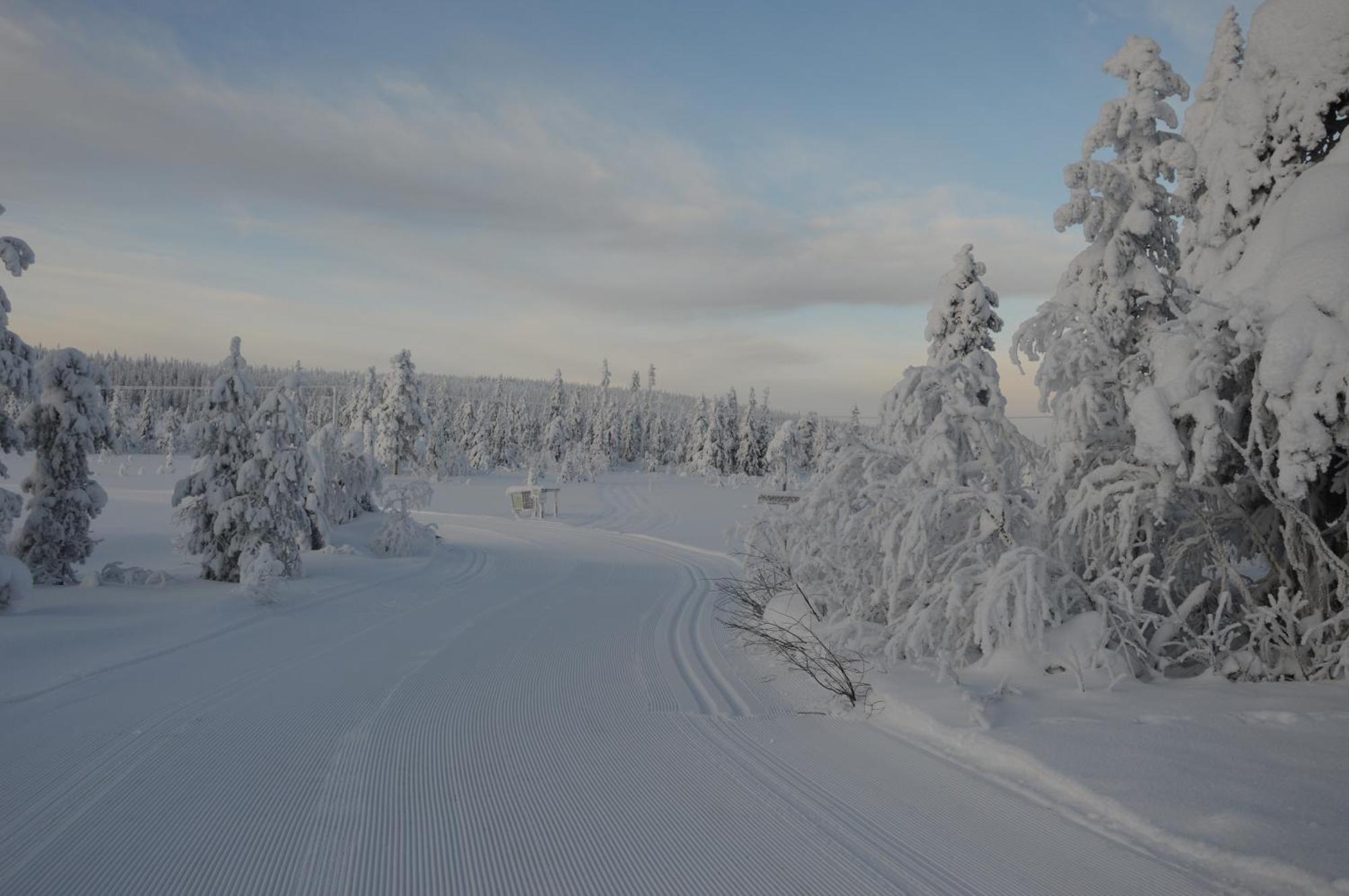 12 - Fulufjellets Nasjonalparker - Natur-, Dyre- Og Fugleopplevelser Ljørdal Dış mekan fotoğraf