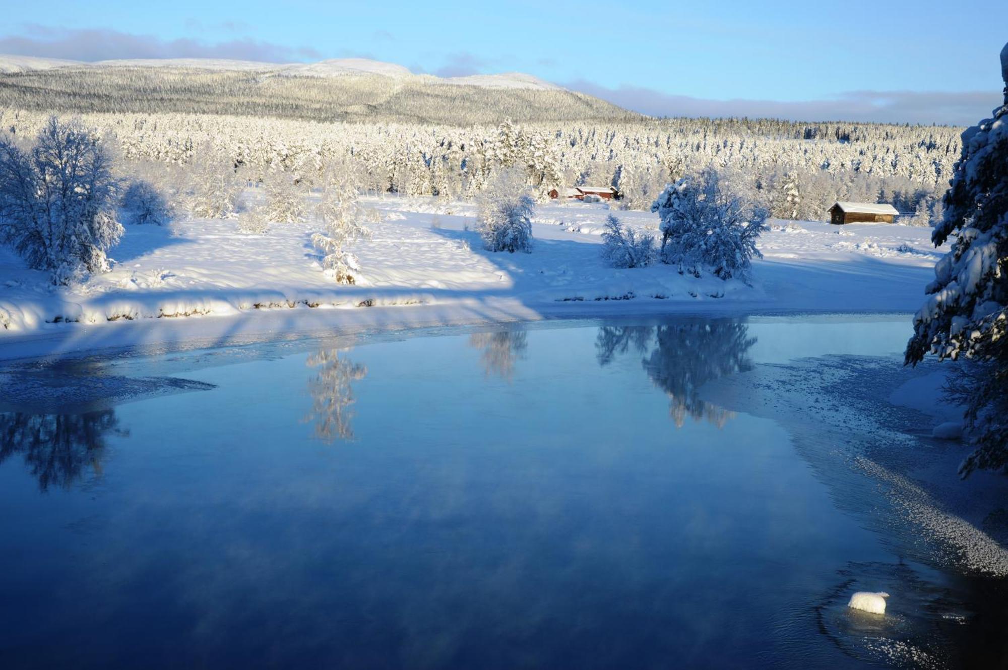 12 - Fulufjellets Nasjonalparker - Natur-, Dyre- Og Fugleopplevelser Ljørdal Dış mekan fotoğraf