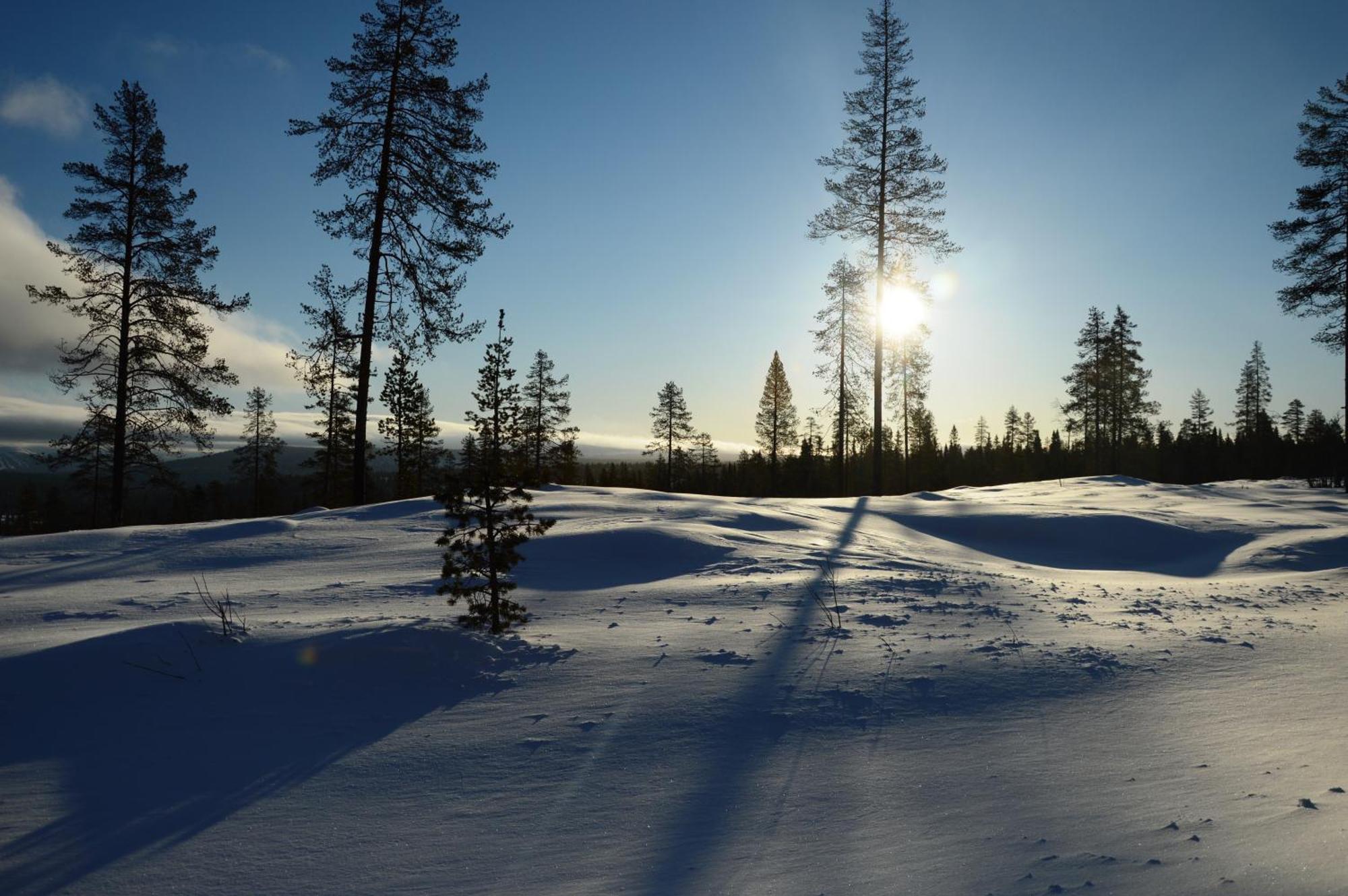 12 - Fulufjellets Nasjonalparker - Natur-, Dyre- Og Fugleopplevelser Ljørdal Dış mekan fotoğraf