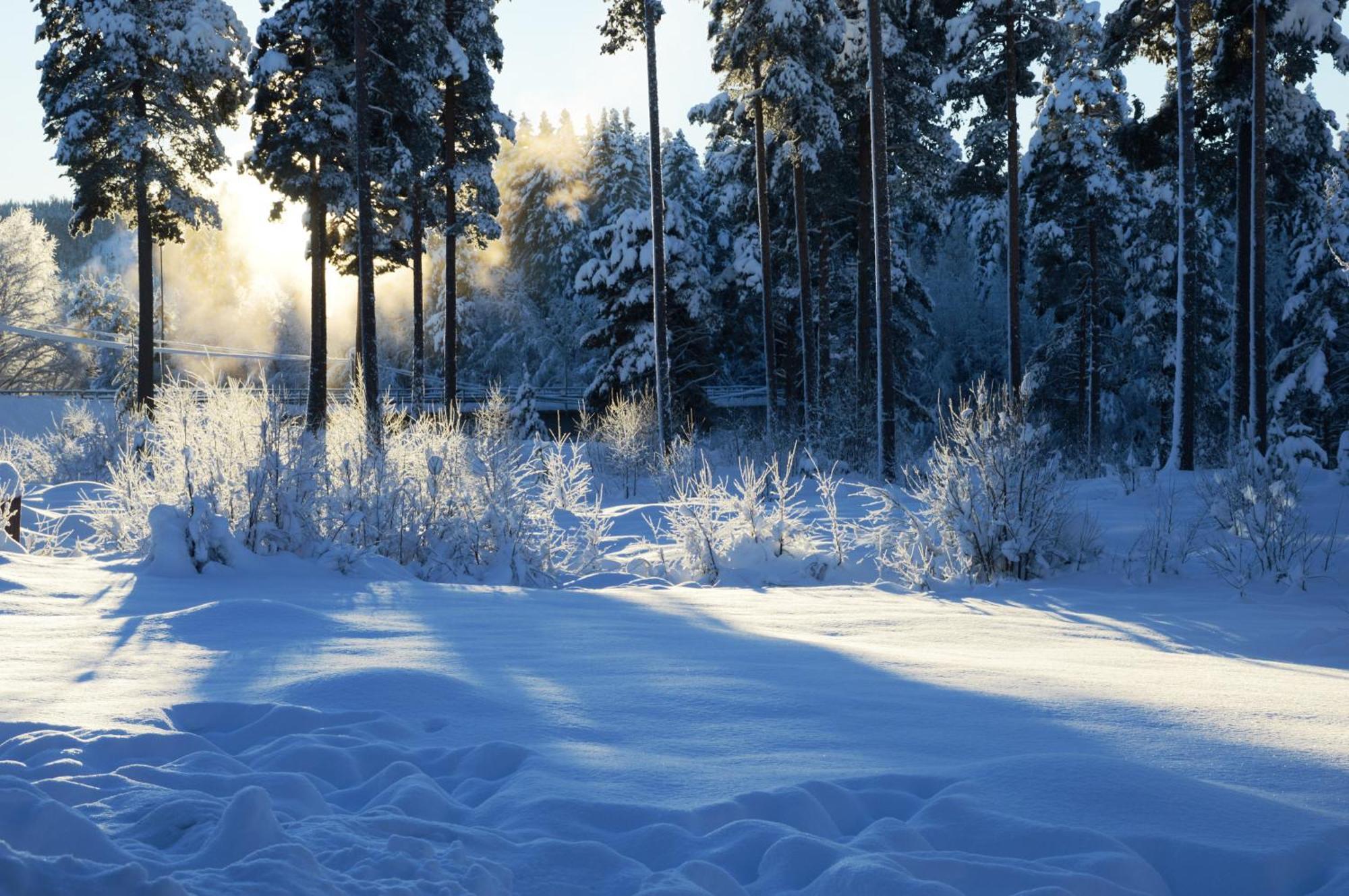 12 - Fulufjellets Nasjonalparker - Natur-, Dyre- Og Fugleopplevelser Ljørdal Dış mekan fotoğraf