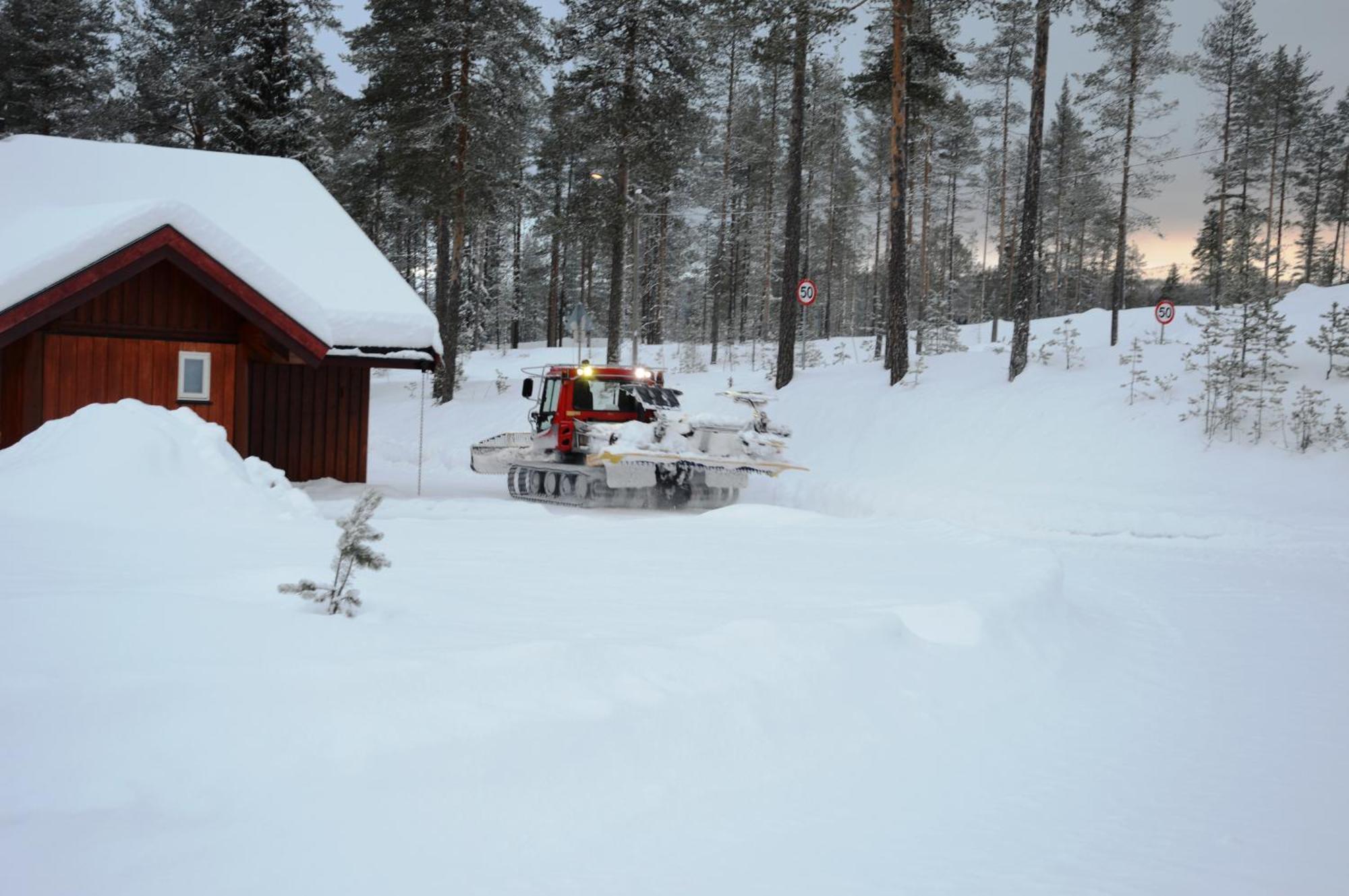 12 - Fulufjellets Nasjonalparker - Natur-, Dyre- Og Fugleopplevelser Ljørdal Dış mekan fotoğraf