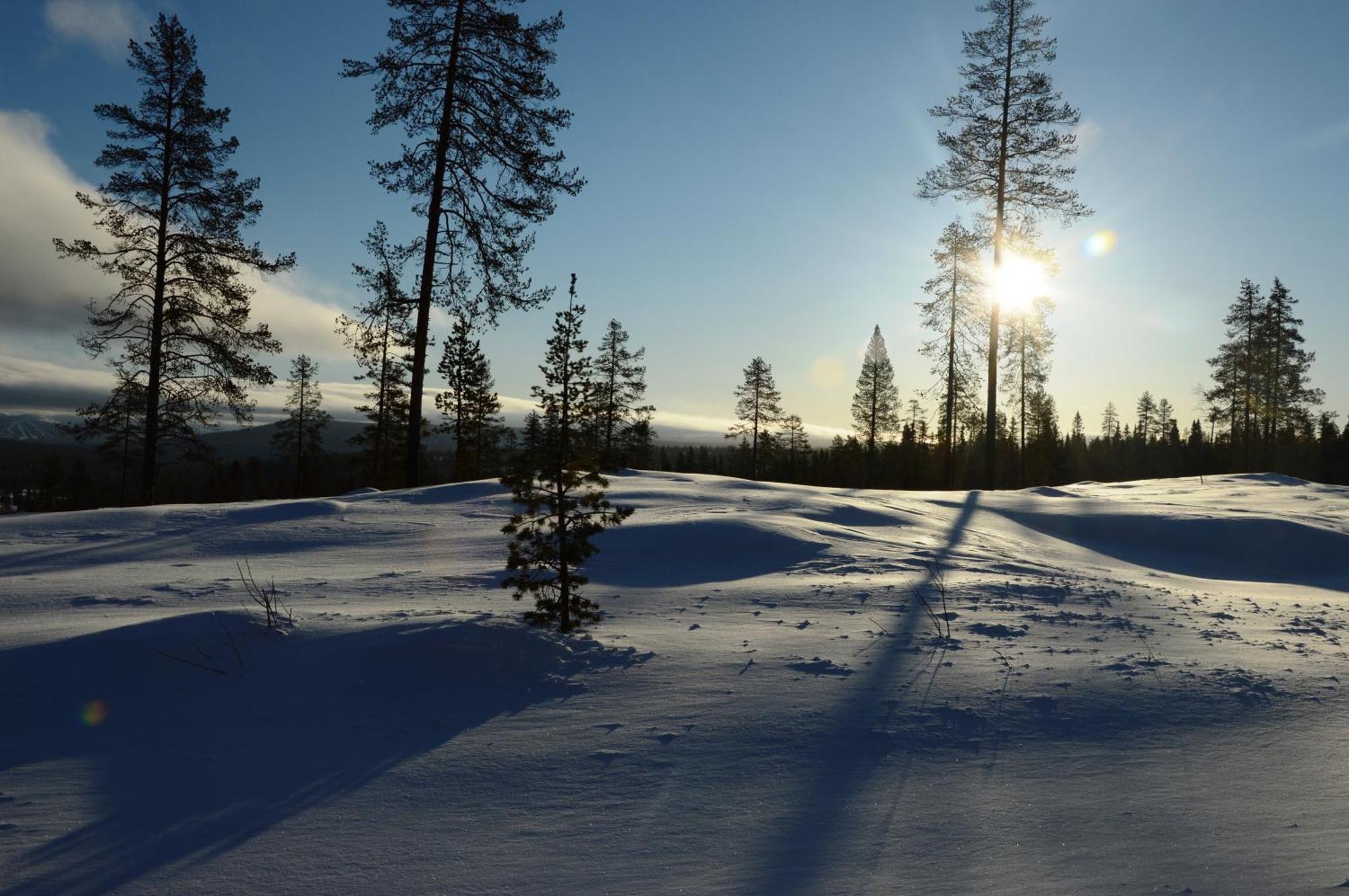 12 - Fulufjellets Nasjonalparker - Natur-, Dyre- Og Fugleopplevelser Ljørdal Dış mekan fotoğraf