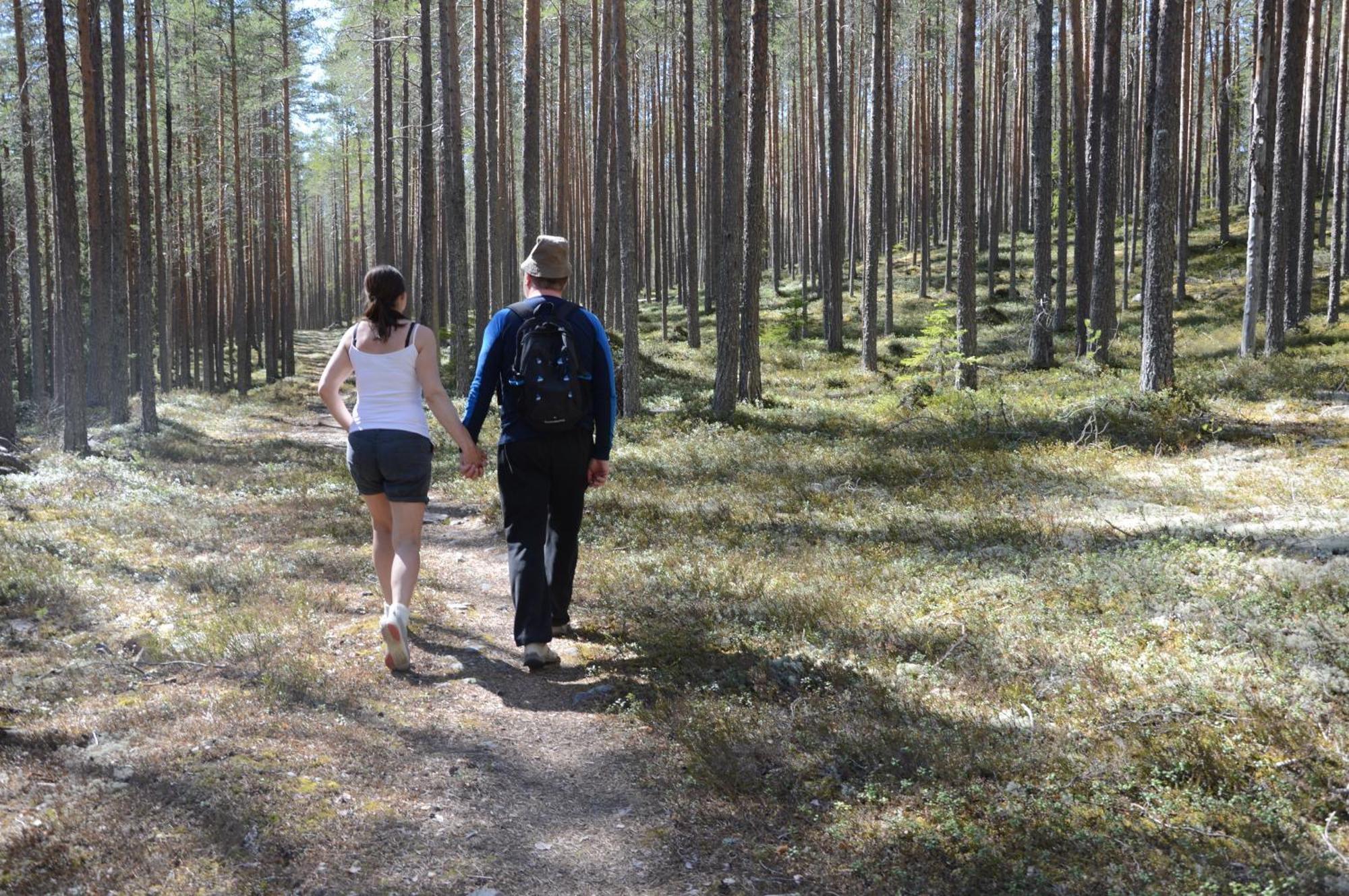 12 - Fulufjellets Nasjonalparker - Natur-, Dyre- Og Fugleopplevelser Ljørdal Dış mekan fotoğraf