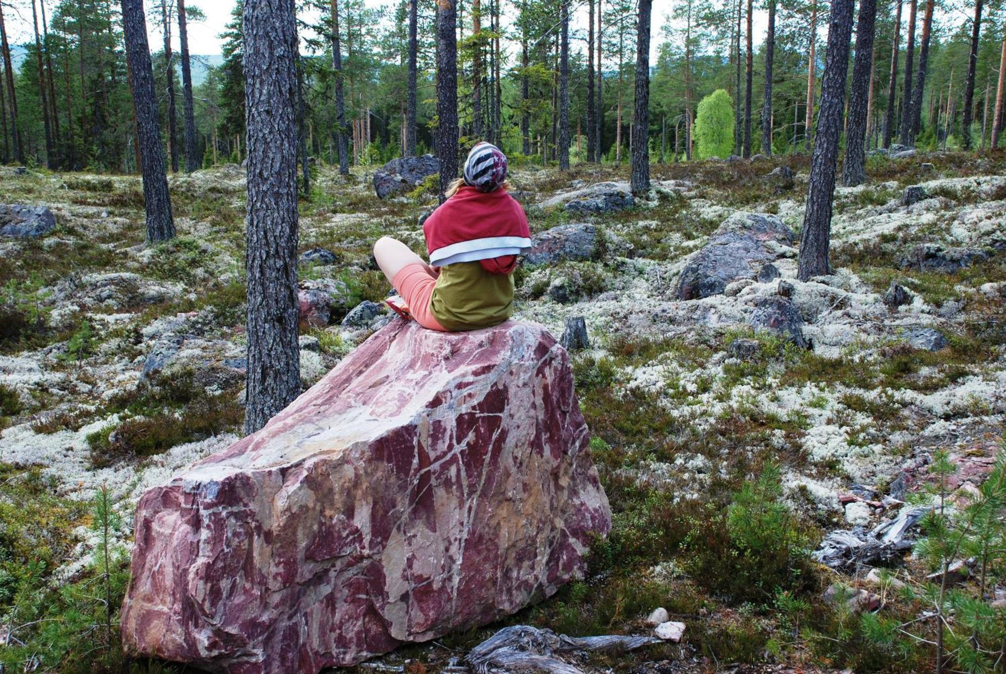 12 - Fulufjellets Nasjonalparker - Natur-, Dyre- Og Fugleopplevelser Ljørdal Dış mekan fotoğraf