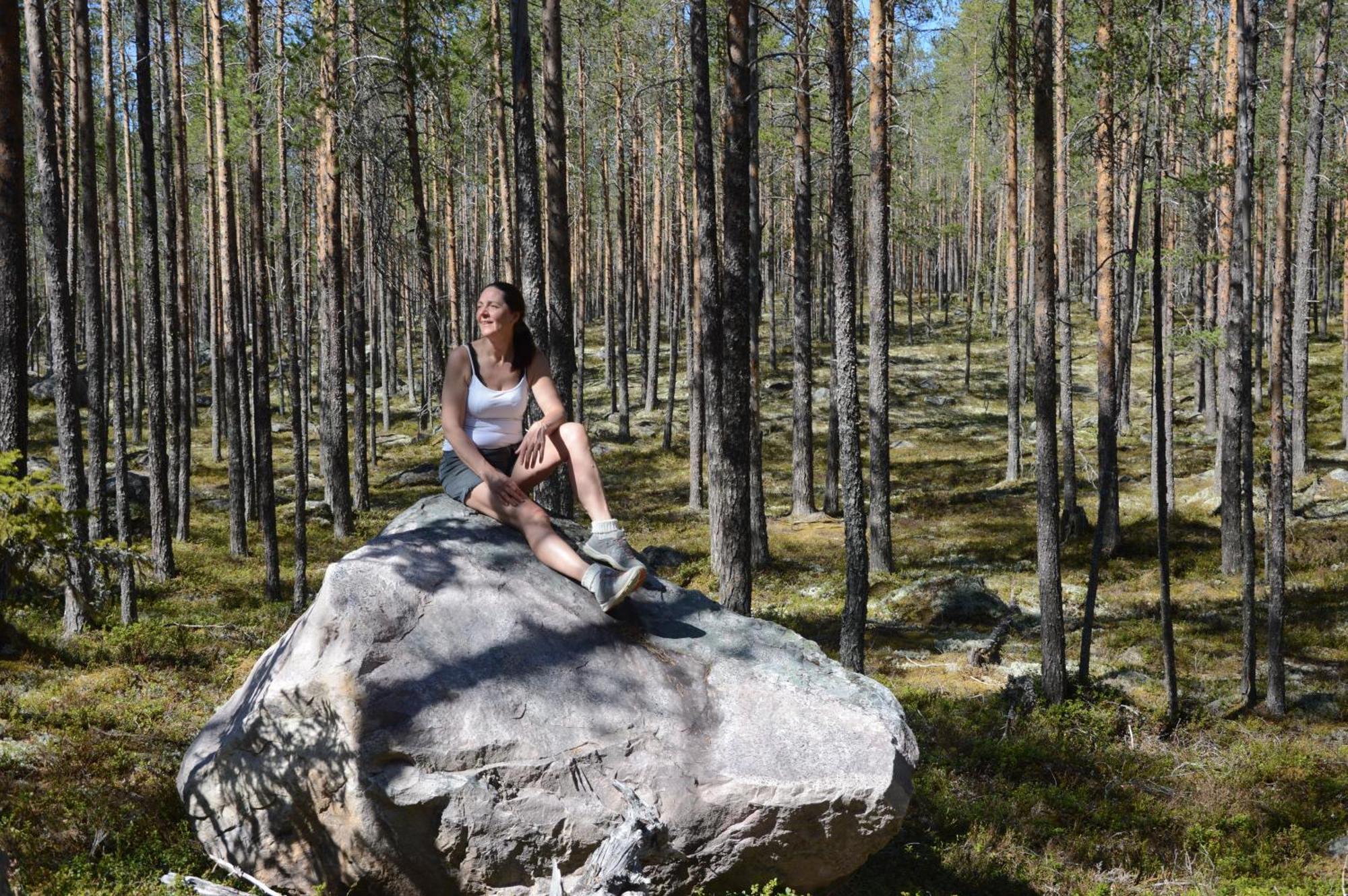 12 - Fulufjellets Nasjonalparker - Natur-, Dyre- Og Fugleopplevelser Ljørdal Dış mekan fotoğraf