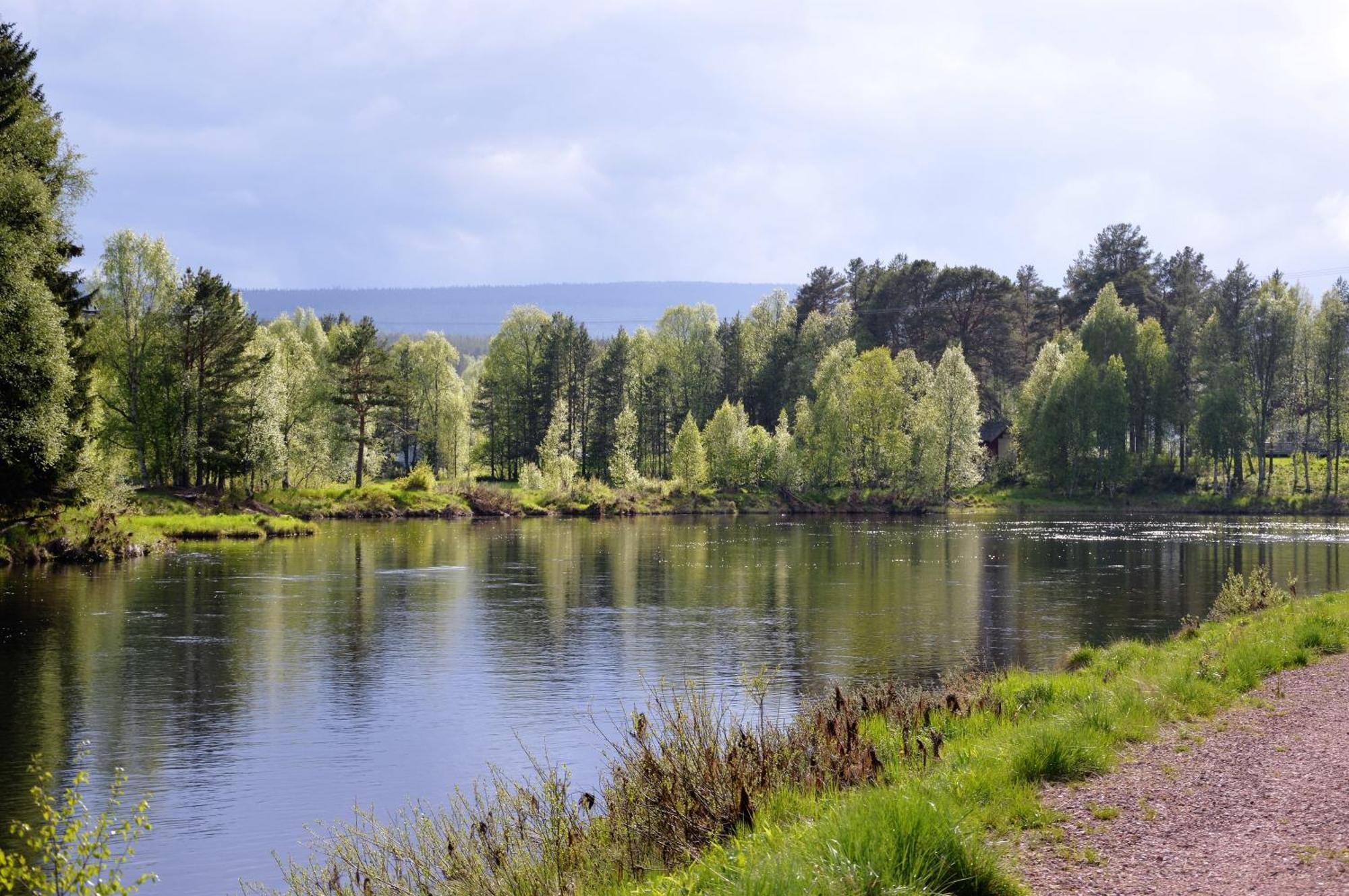 12 - Fulufjellets Nasjonalparker - Natur-, Dyre- Og Fugleopplevelser Ljørdal Dış mekan fotoğraf