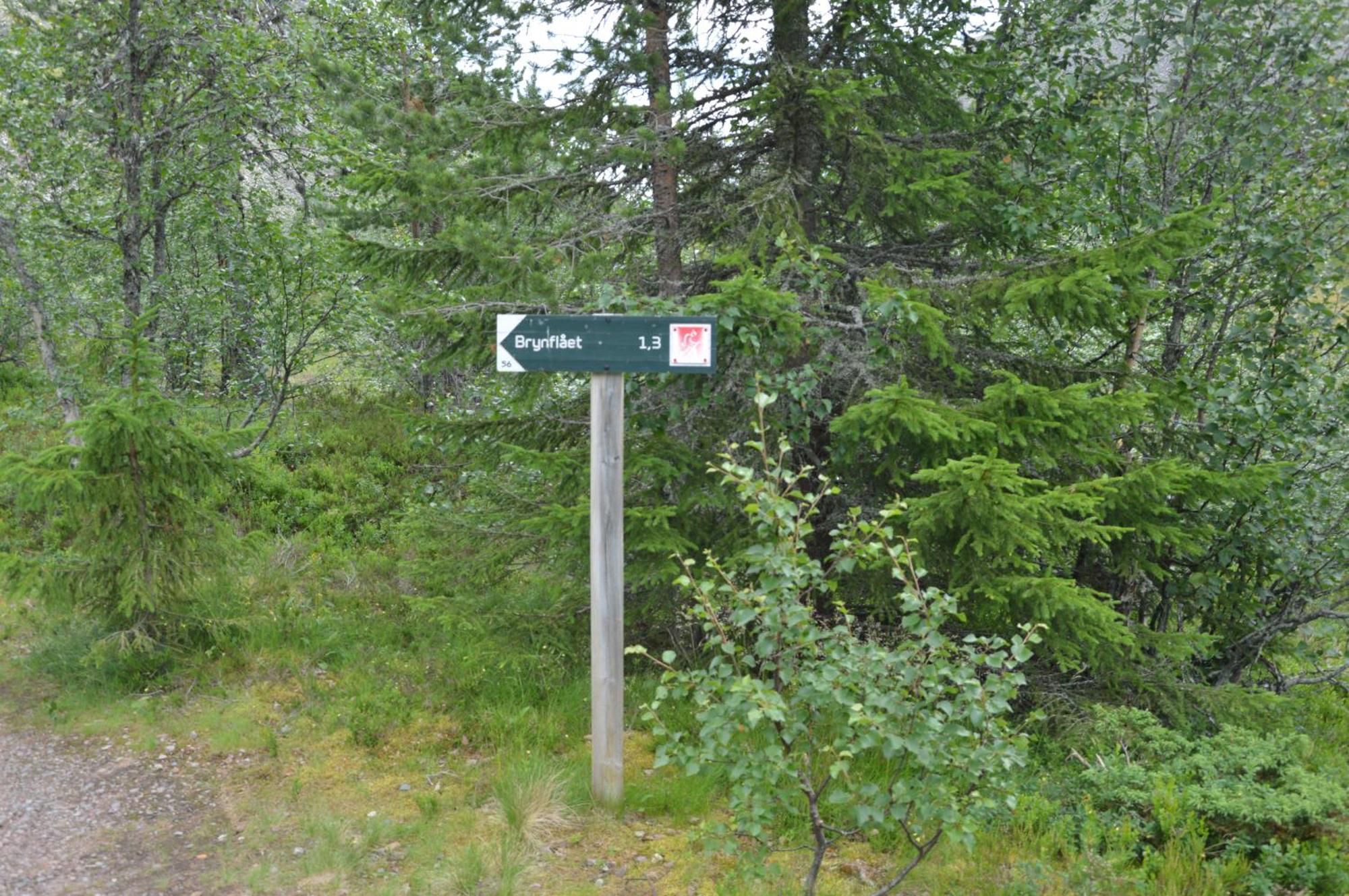 12 - Fulufjellets Nasjonalparker - Natur-, Dyre- Og Fugleopplevelser Ljørdal Dış mekan fotoğraf