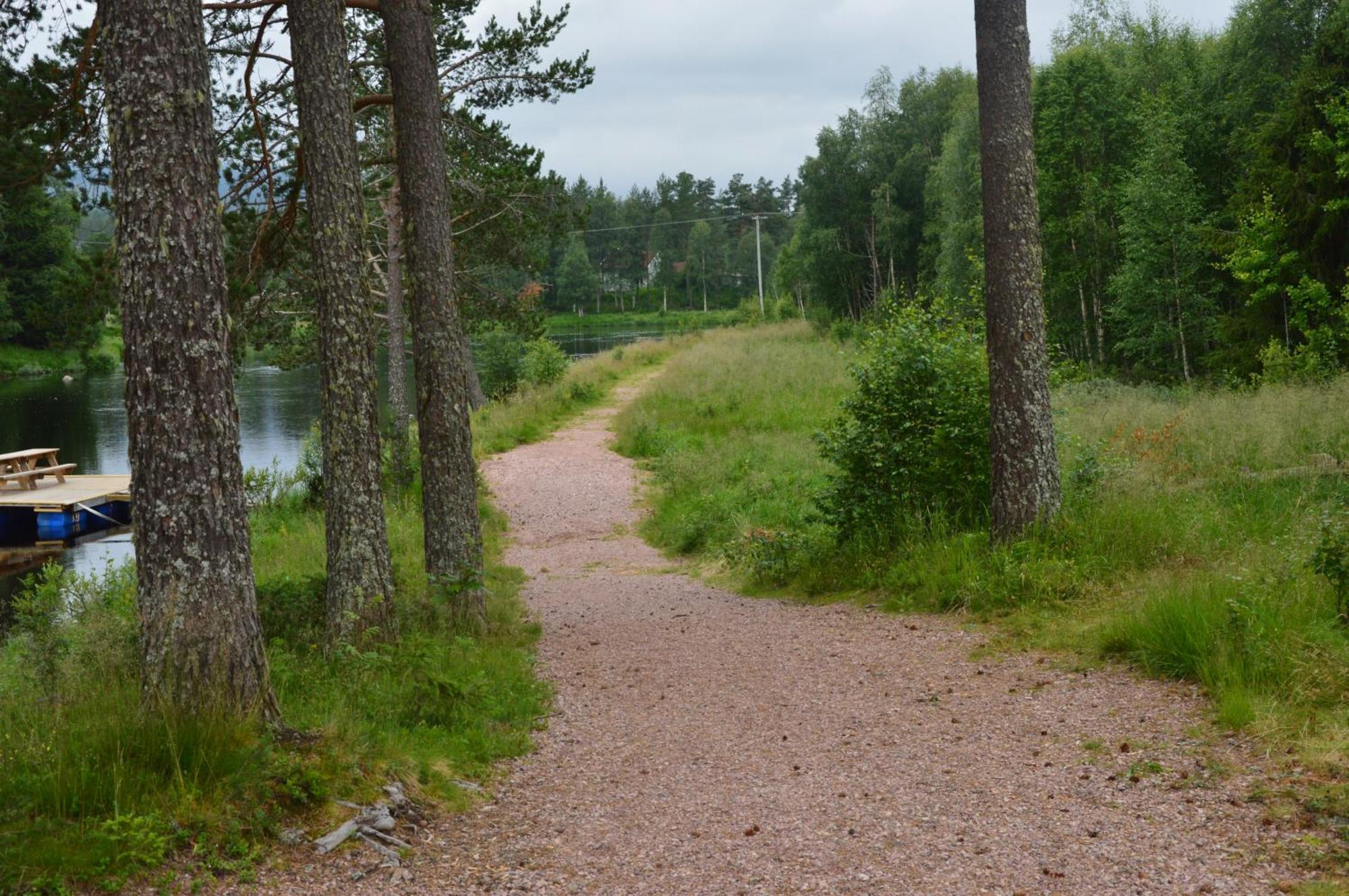 12 - Fulufjellets Nasjonalparker - Natur-, Dyre- Og Fugleopplevelser Ljørdal Dış mekan fotoğraf