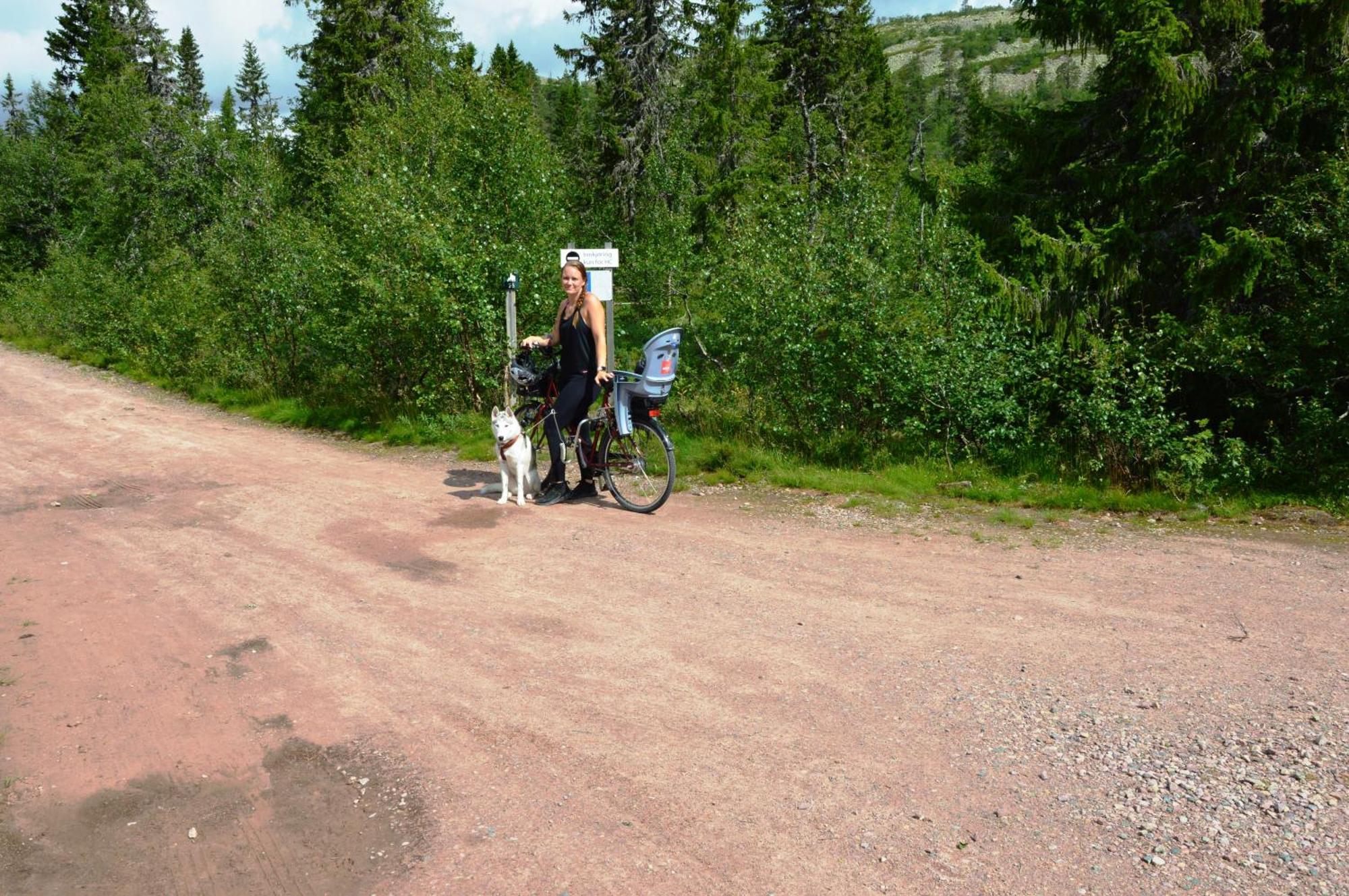 12 - Fulufjellets Nasjonalparker - Natur-, Dyre- Og Fugleopplevelser Ljørdal Dış mekan fotoğraf