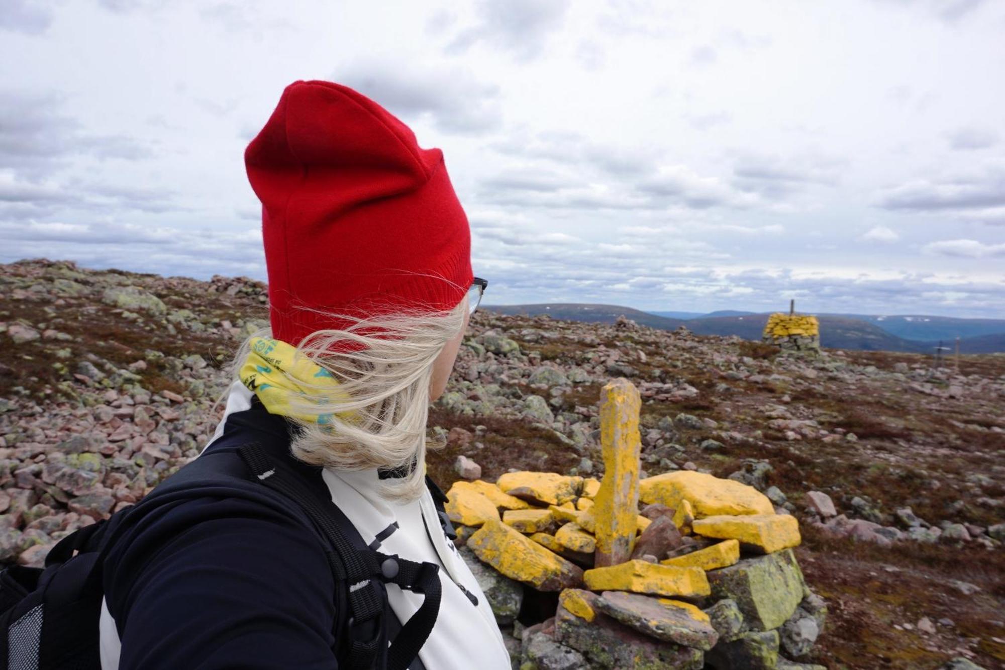 12 - Fulufjellets Nasjonalparker - Natur-, Dyre- Og Fugleopplevelser Ljørdal Dış mekan fotoğraf