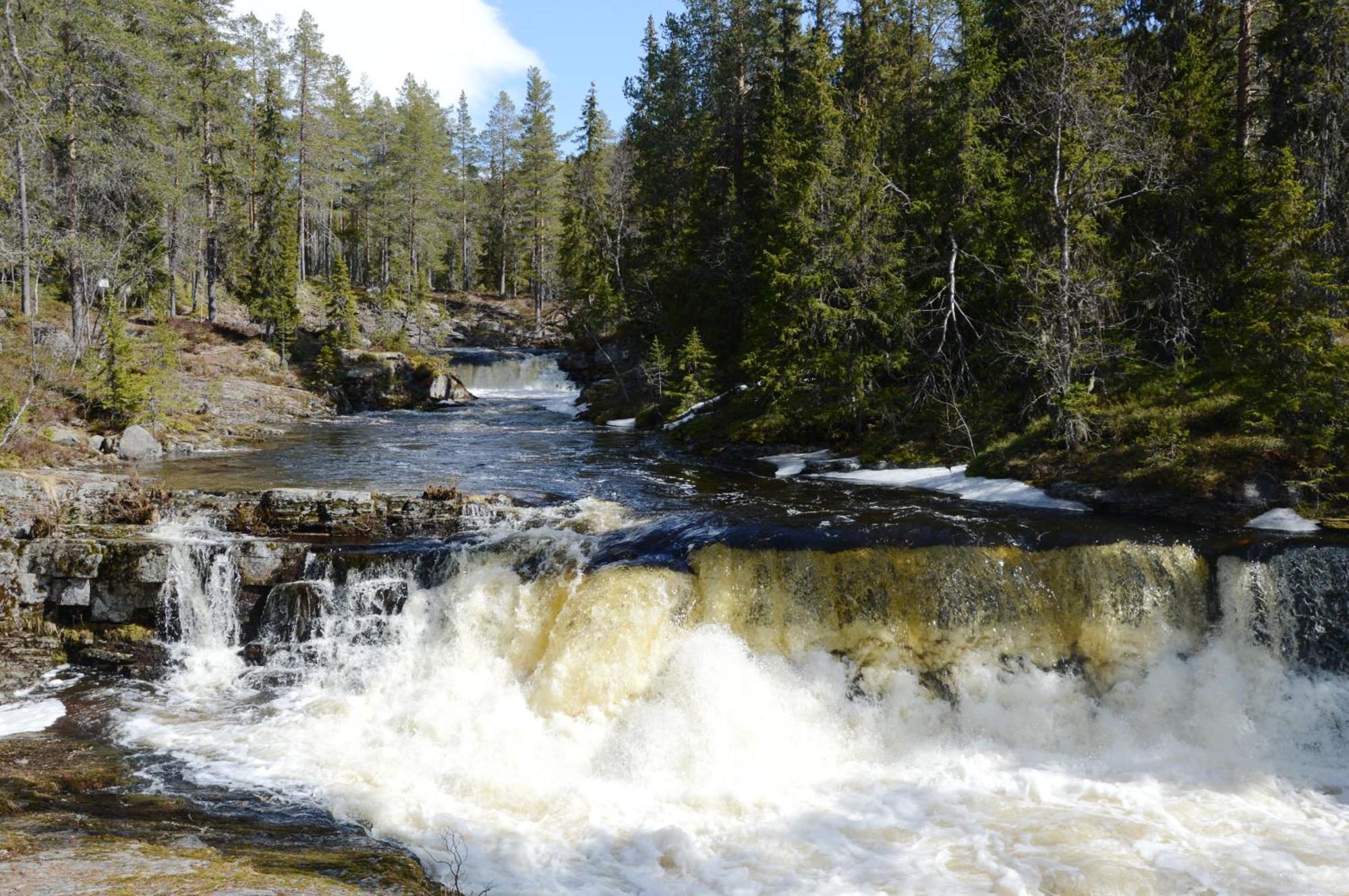 12 - Fulufjellets Nasjonalparker - Natur-, Dyre- Og Fugleopplevelser Ljørdal Dış mekan fotoğraf