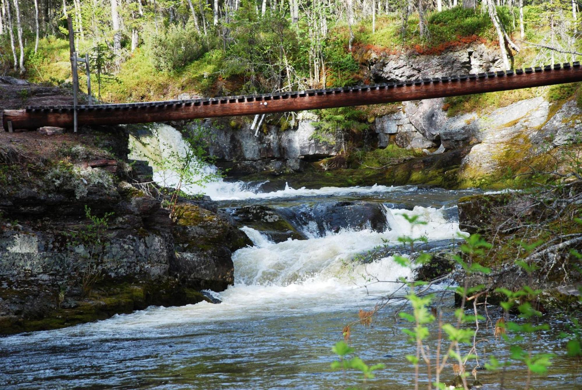 12 - Fulufjellets Nasjonalparker - Natur-, Dyre- Og Fugleopplevelser Ljørdal Dış mekan fotoğraf