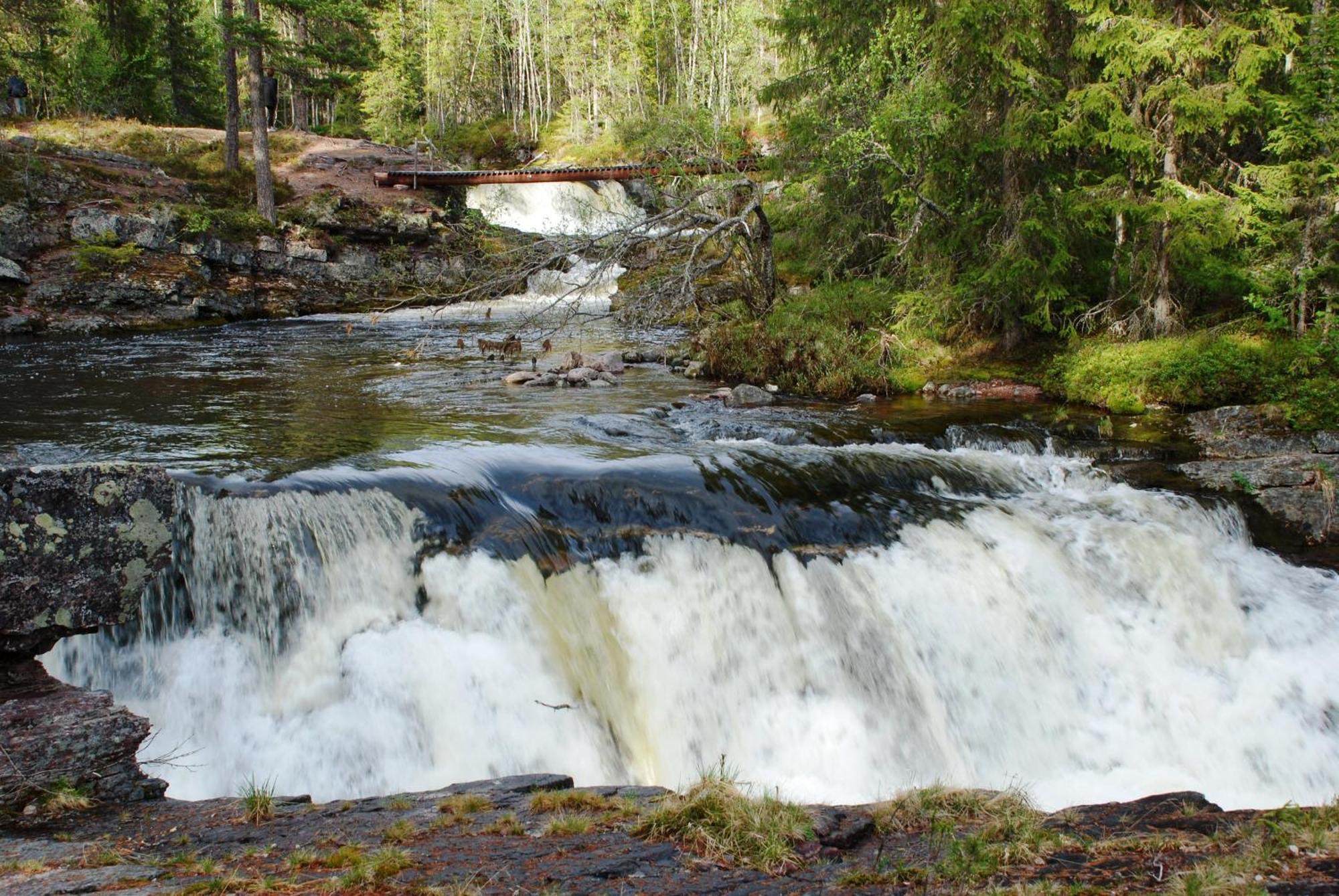 12 - Fulufjellets Nasjonalparker - Natur-, Dyre- Og Fugleopplevelser Ljørdal Dış mekan fotoğraf
