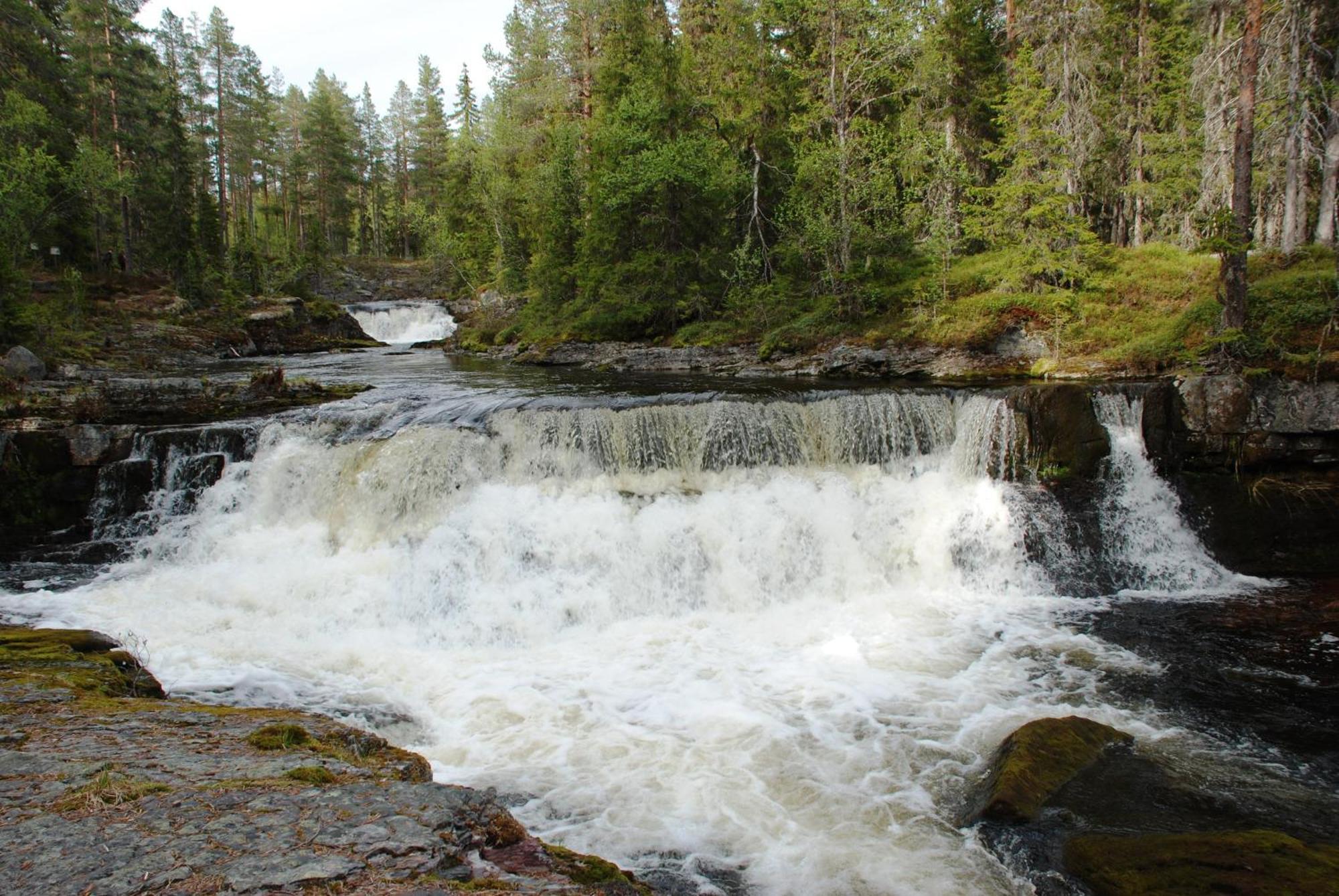 12 - Fulufjellets Nasjonalparker - Natur-, Dyre- Og Fugleopplevelser Ljørdal Dış mekan fotoğraf
