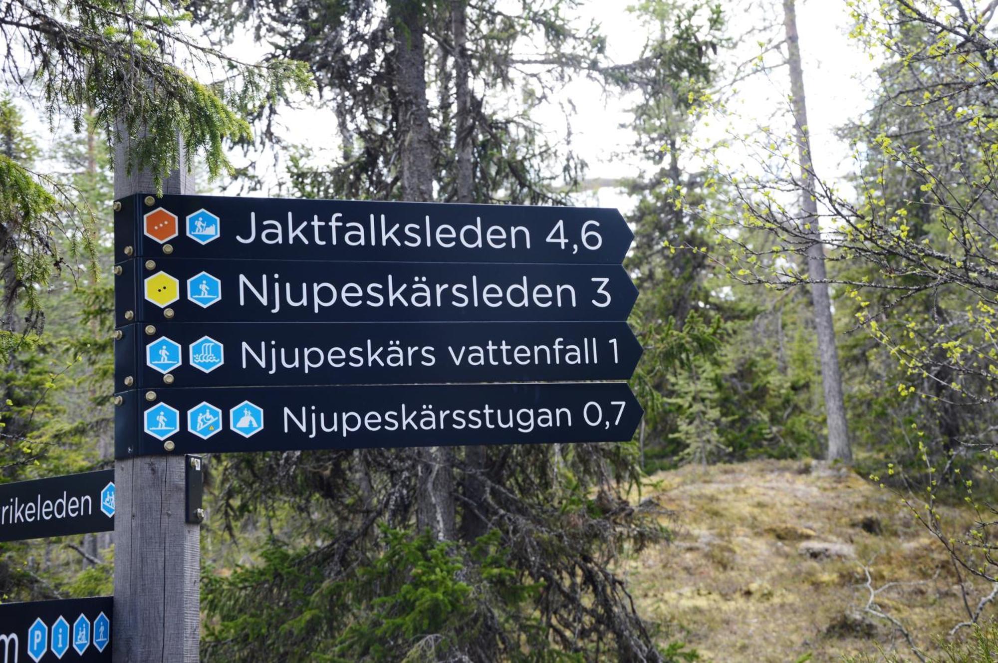 12 - Fulufjellets Nasjonalparker - Natur-, Dyre- Og Fugleopplevelser Ljørdal Dış mekan fotoğraf