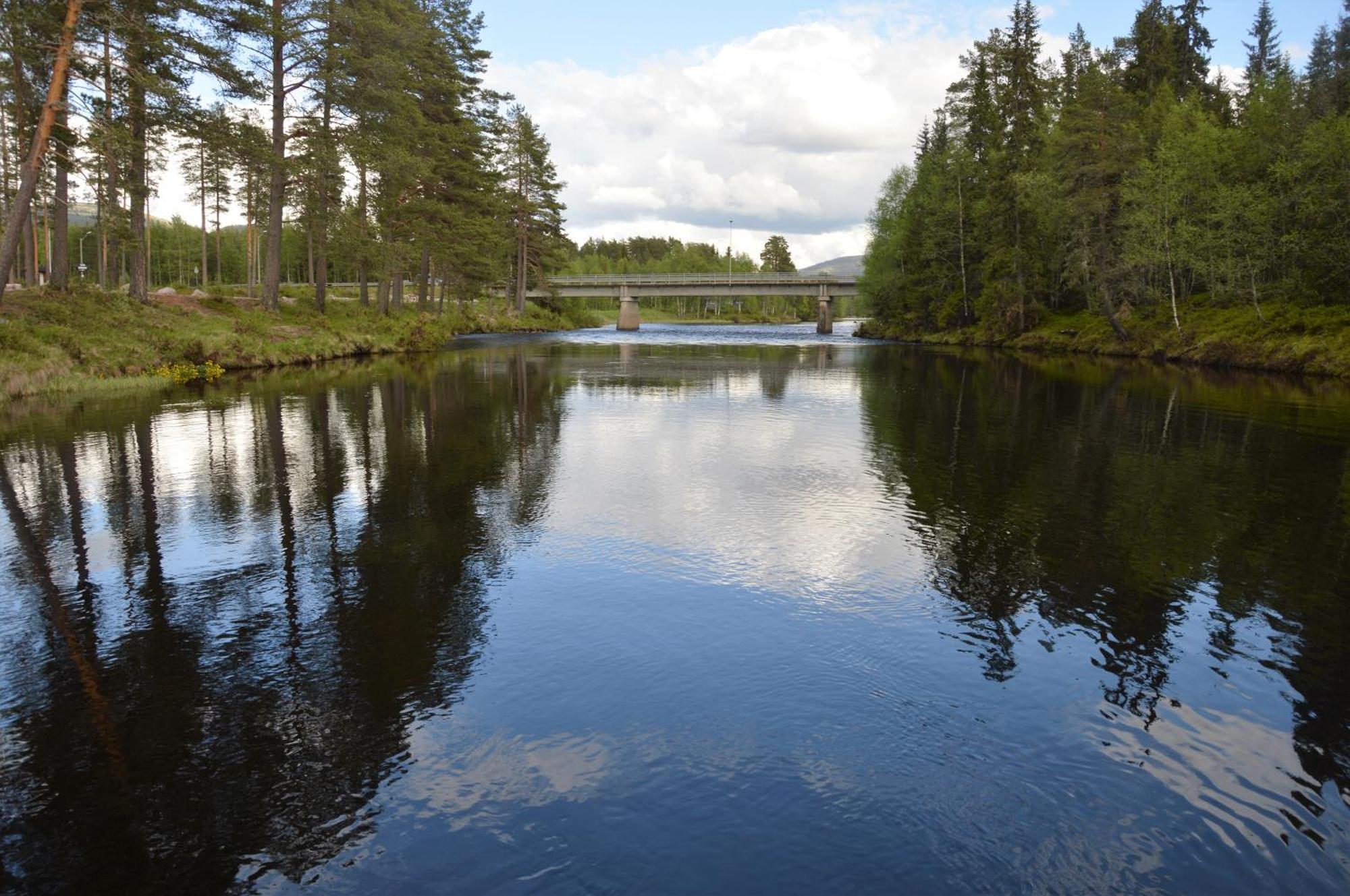 12 - Fulufjellets Nasjonalparker - Natur-, Dyre- Og Fugleopplevelser Ljørdal Dış mekan fotoğraf
